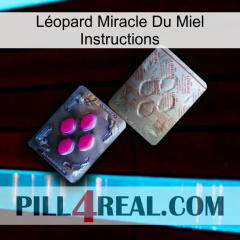 Léopard Miracle Du Miel Instructions 38